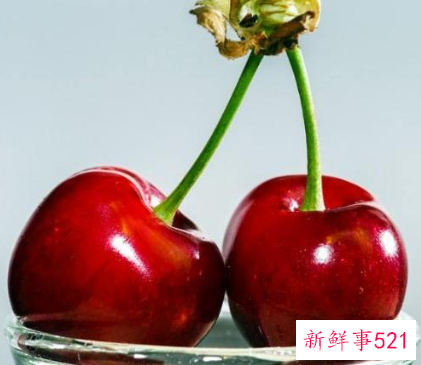 狗狗不能吃的水果有哪些