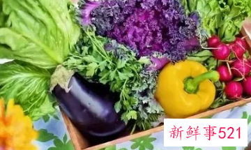 蔬菜储存保鲜方法