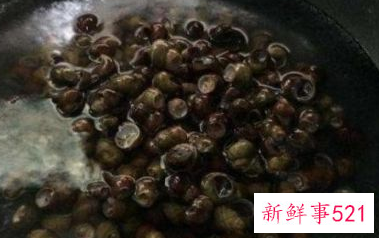 田螺如何炒才是最好吃