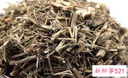 马鞭草茶的功效与作用及禁忌