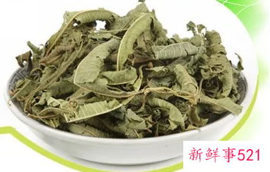 马鞭草茶的功效与作用及禁忌