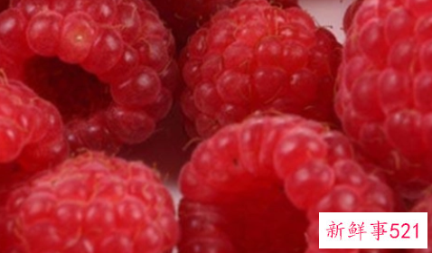 红秋莓干果的功效与作用