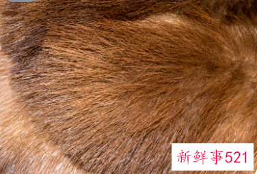 给头发做护理用什么比较好