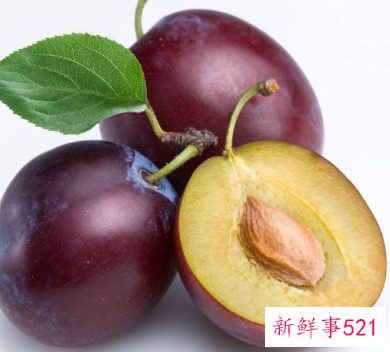 狗狗不能吃的水果有哪些