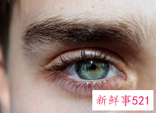 梦见剃眉毛什么意思