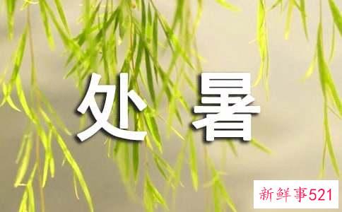 处暑祛湿系列之薏米百合粥的养生做法