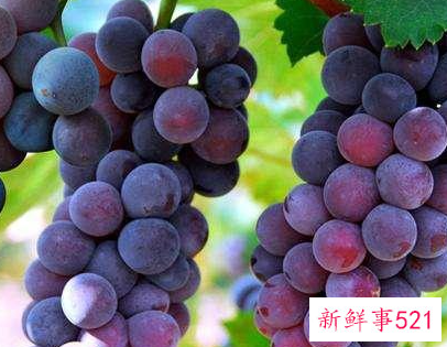 温和养胃的水果有哪些