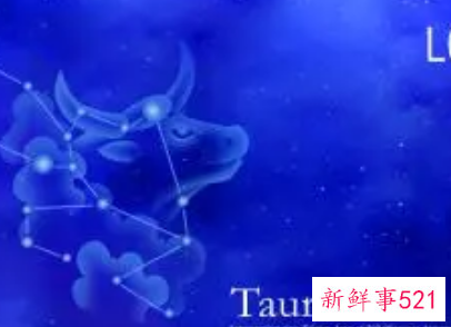 金牛座的微信名字