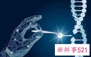 马斯克刚评上院士其脑机公司就被控虐猴