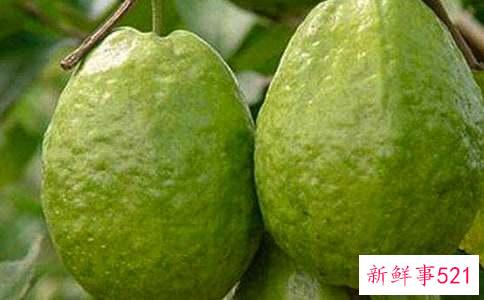 女人常吃石榴的好处