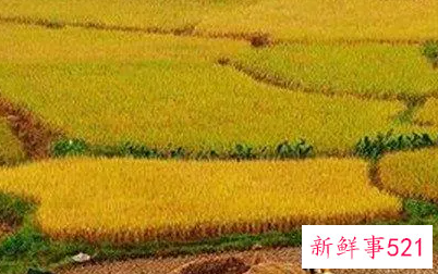 梦见拉纤是什么意思