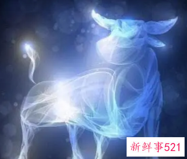 金牛座的微信名字