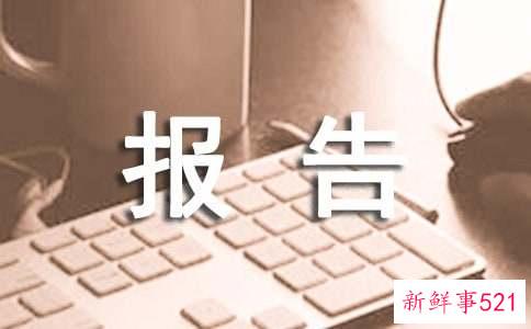 个人工作业绩报告