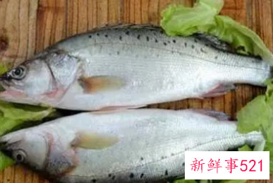 吃淡水鱼有什么作用