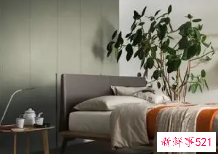 色彩风水家居五行