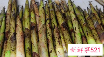 毛竹笋的营养价值