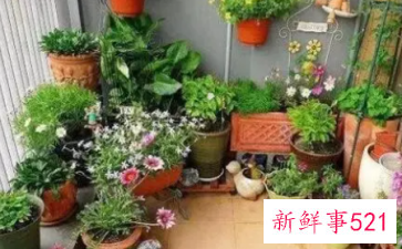 家里养花多了阴气重么