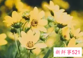 女人梦见自己又忙又累