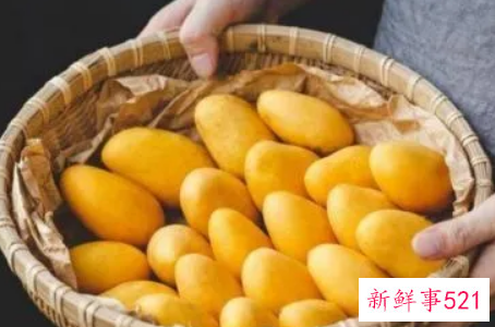 芒果的很好保存方法有哪些