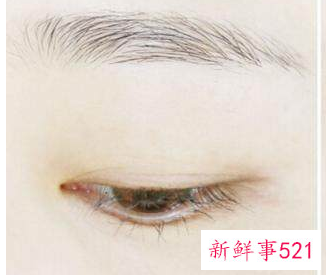 新手化妆的步骤