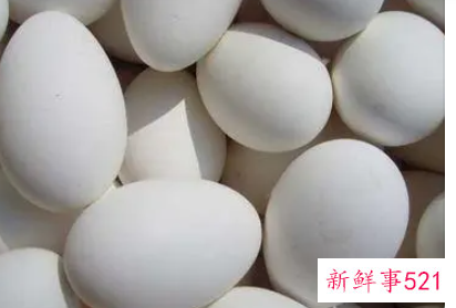 孕妇吃鹅蛋的好处与坏处