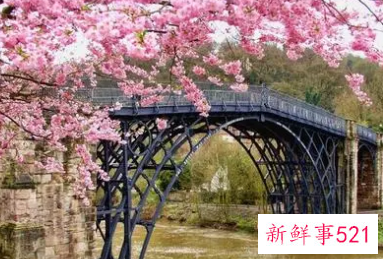 梦见桥上走遇见朋友是什么意思