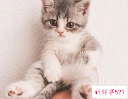 买什么礼物送女生最好