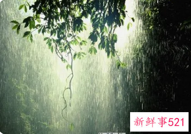 梦见太阳在雨中照耀预示什么
