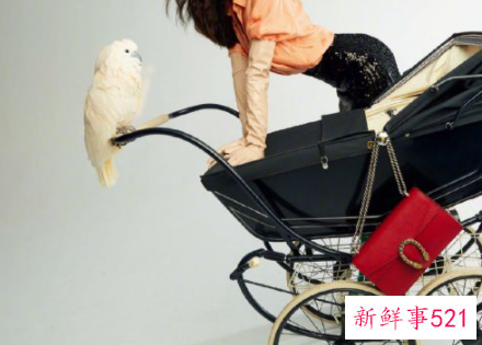 女人穿什么衣裳最时尚最好看