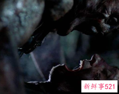 排行前十的恐怖电影