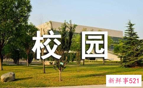 如何应对校园踩踏事故