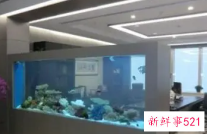 办公室养鱼的禁忌事项有哪些