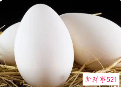 孕妇吃鹅蛋的好处与坏处