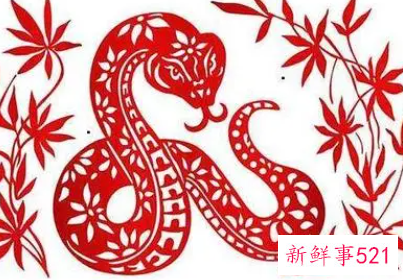 属蛇男人喜欢女人类型