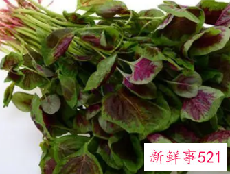 苋菜为什么不能晚上吃