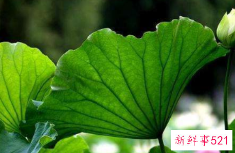 出伏后还要热多久