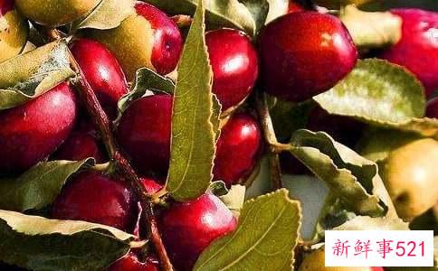 哪些水果可以美白