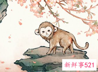 十二生肖属猴的命运