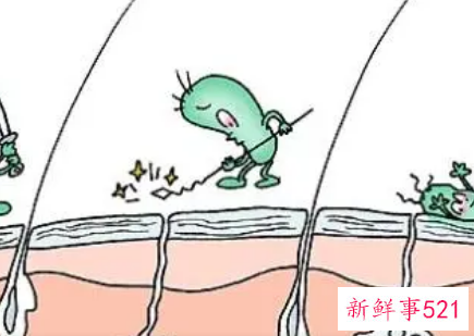 皮肤的保护作用有什么