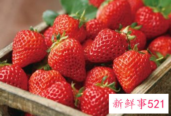 在宿舍怎么保存草莓