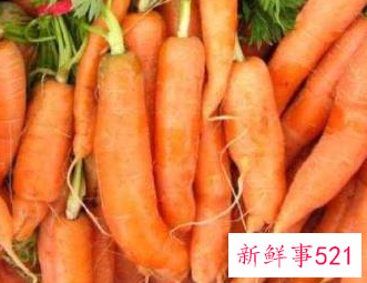 常见的蔬菜种类10种图片