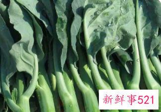 芥兰头的营养价值