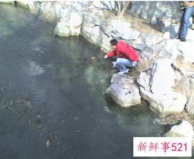 梦见从沟里爬上来是什么意思