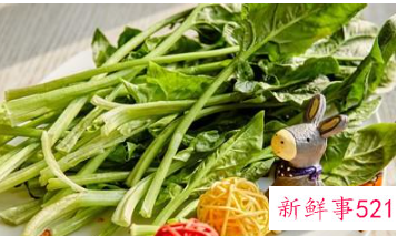 菠菜不能跟什么同食