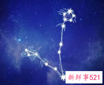 双鱼座佩戴什么招财