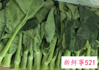 芥兰头的营养价值