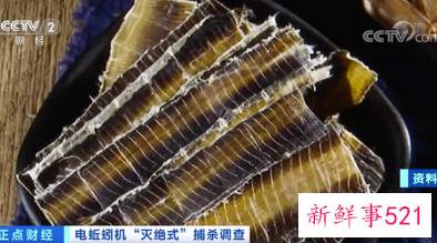 蚯蚓干价格暴涨引发“灭绝式”捕杀现象