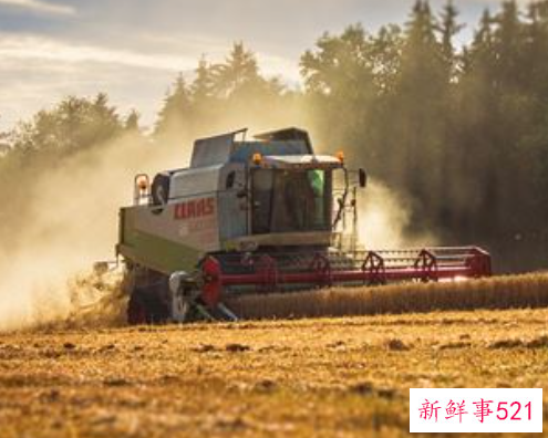 梦见丰收是什么意思