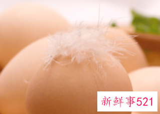 高蛋白食物一览表