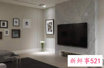 电视柜两旁植物禁忌